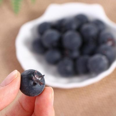Blueberry de Simulation Décorative Accessoires Photo Modèle de Fruit DIY Décoration de Maison Simulation de Myrtille Fruit Artificiel Fruit Faux