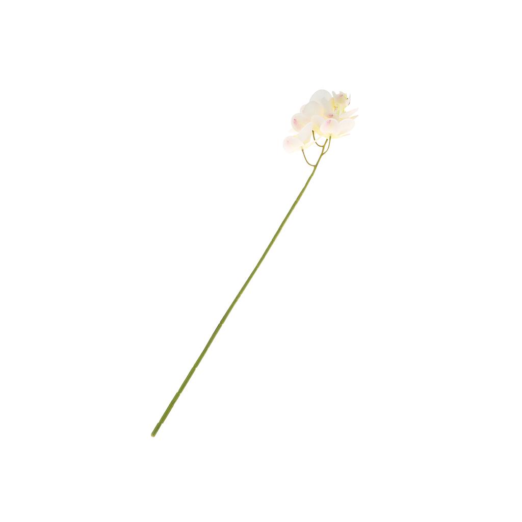 6 Head Artificial Phalaenopsis Orchid Flowers Fade Resistance Faux Orchid Stems for Vase Home Decor White