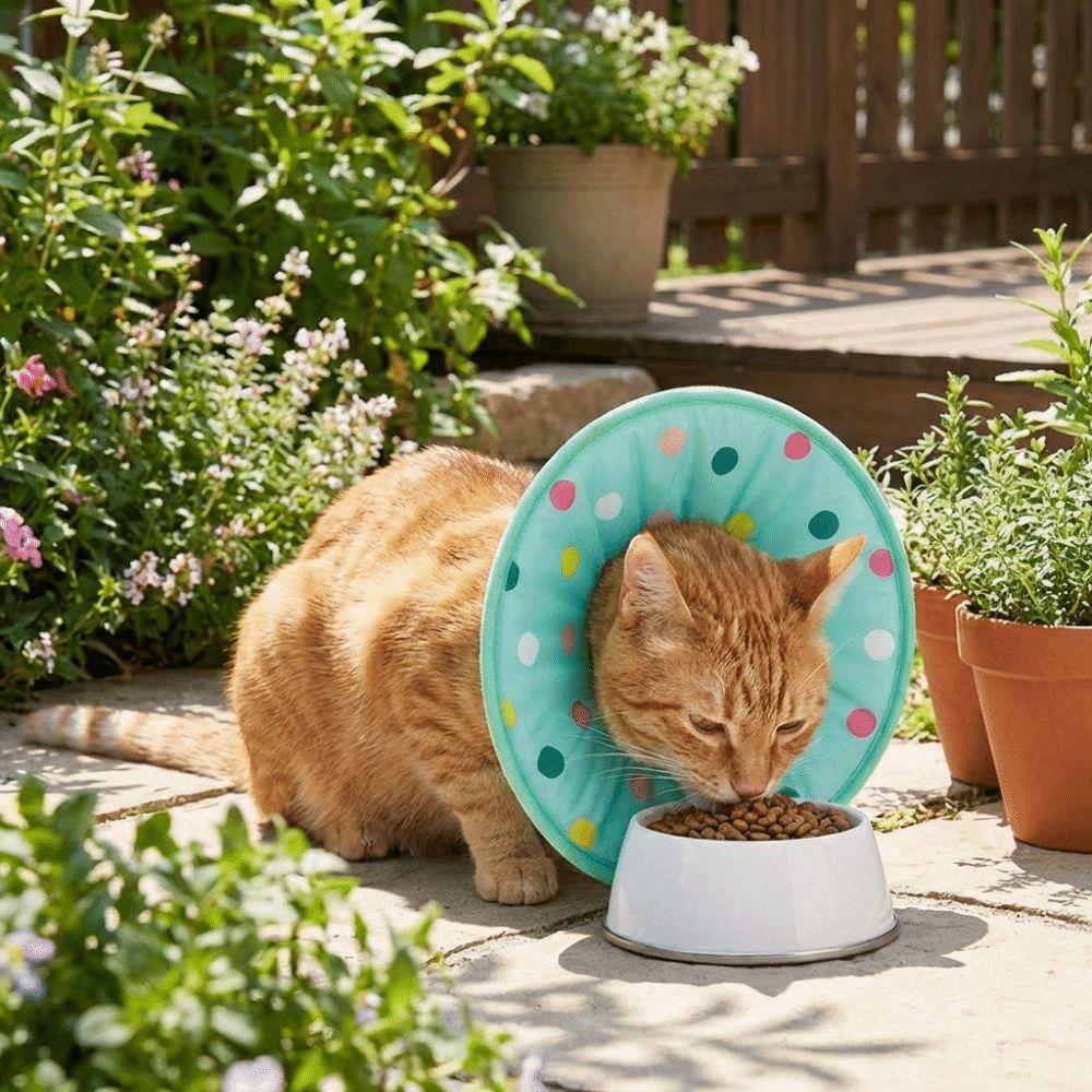Comfortable Dog Recovery Collar Anti Licking Anti Bite Collar Pet Elizabethan Collar  for Cats Dogs