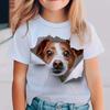 Üst giysisi – T-shirtler