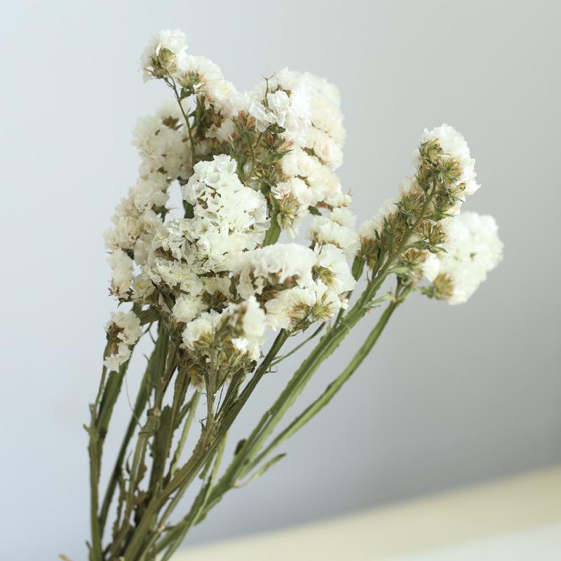 Yunnan Dried & Immortal Flowers Bouquet: Baby's Breath, Roses, Forget-Me-Nots for Home & Homestay Decor