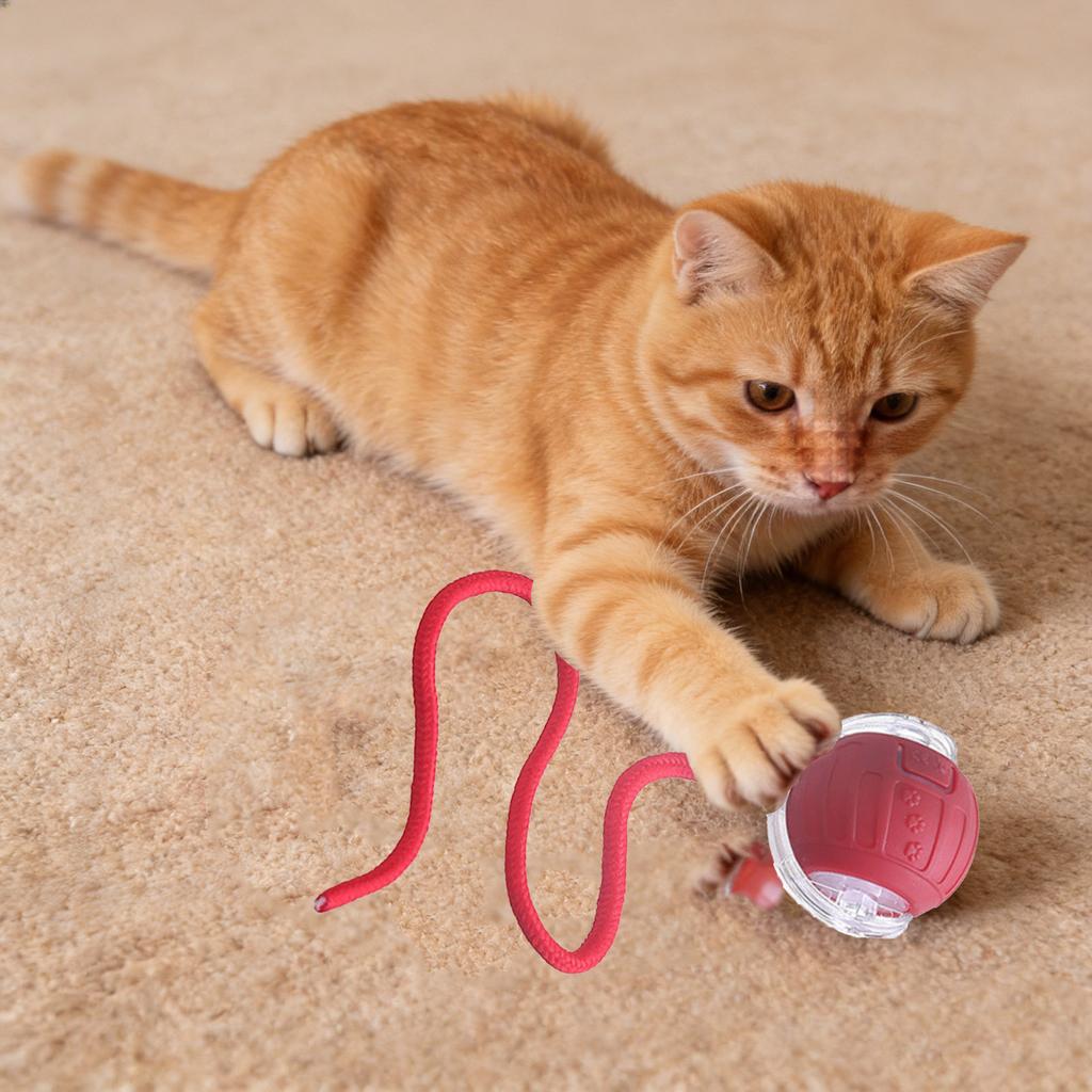 Widerstandsfähiger automatischer Fesselball, Spielzeugball, Selbstunterhaltungs- und Stressabbauwerkzeug mit Seil, Haustierbedarf, Hüpfball