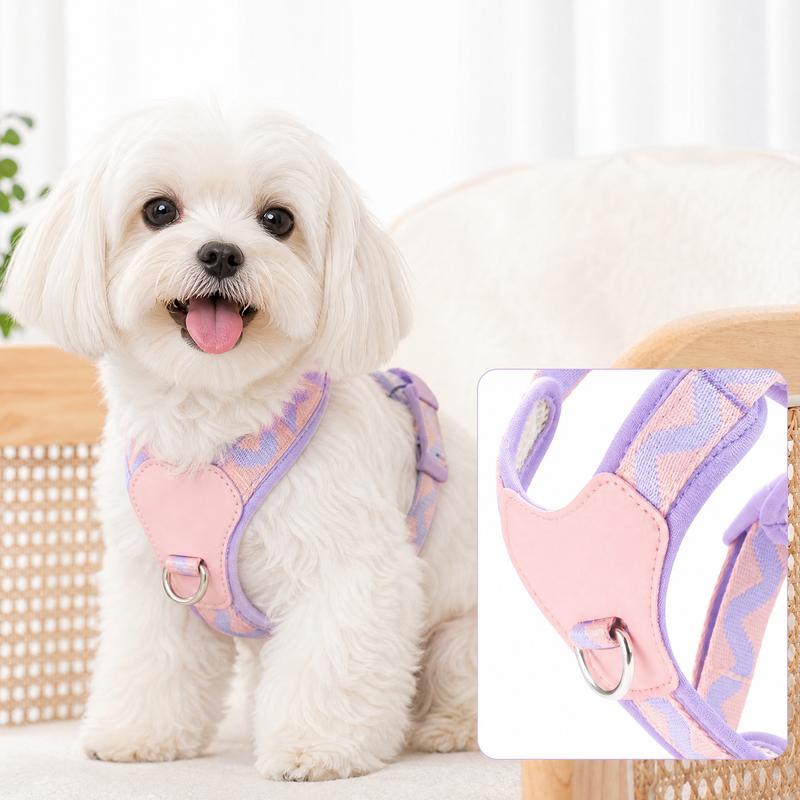 Dog Harness and Leash Set for Small Medium Dogs, Lightweight Breathable Mesh Puppy Harness, Adjustable Soft Pet Vest for Walking