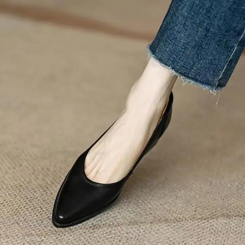Retro High Heels Female Pointed Toe Shallow Mouth Single Shoes Spring Autumn Solid Colour Comfortable Pumps Tacon Para Mujer
