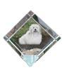 Coton De Tulear, Cotie – Crystal Cube with a Photo, Photo of a Horse In Crystal |