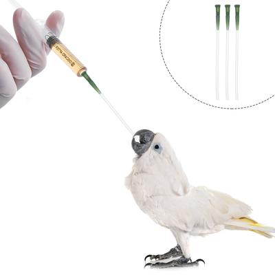 3pcs Pet Feeding Hose Food Grade Soft Tube For Young Birds Parrot Tool Supply Birds Feeding Hose