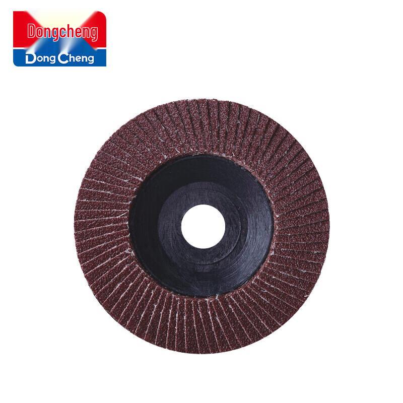 Dongcheng Flap Disc Grinding & Polishing Wheel CN plug (adapter included)