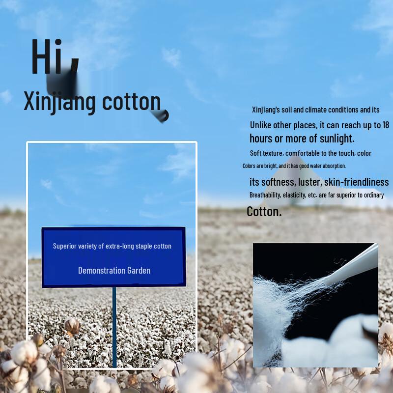 Men's 7A Antibacterial Cotton Boxer Briefs 4-Pack