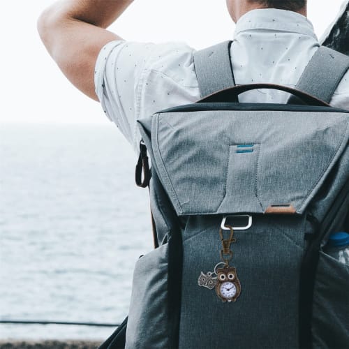 Owl Carabiner Watch, Clip, Keychain, Pocket Watch, Analog, Waterproof, Cute, Fashion Accessory for Men and Women