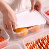 Food-Grade Refrigerator & Freezer Storage Container