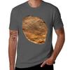 Fossil Dickinsonia Costata TShirt Comfort Stretch Tee Shirt