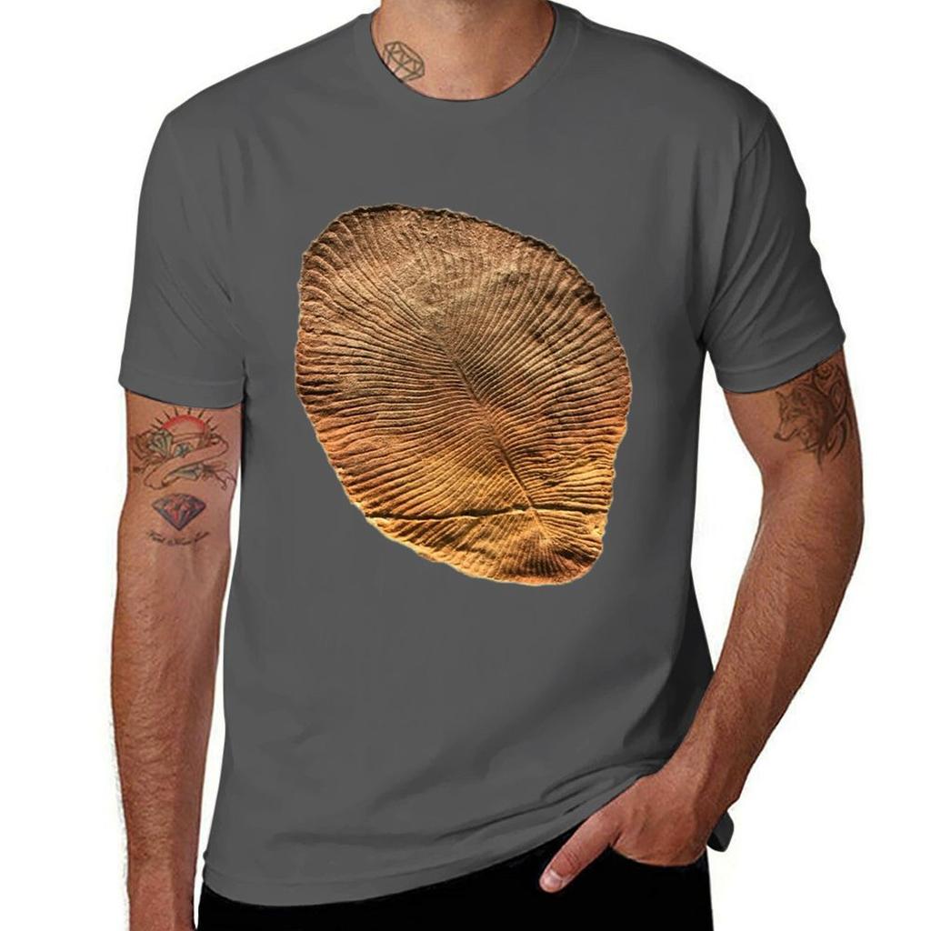 Fossil Dickinsonia Costata TShirt Comfort Stretch Tee Shirt