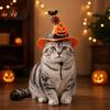 Pet Halloween Hat Dog Hat Adjustable Cat Witch Pumpkin Bat Cobweb for Small Medium Dogs Cats Holiday Costume Photo Prop Medium-sized