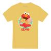 Sesame Street Unisex Adult Flowers For You T-Shirt