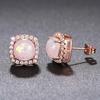 New Design Geometric Shaped Round Opal Silver/Rose Gold Plated Earrings for Fashion Party CZ Stud Earring for Women