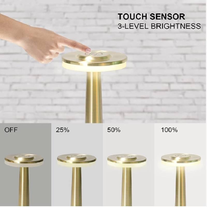 Touch-control Led Night Light For Bar And Cafe Decor With Built-in Battery And Iron Lampshade