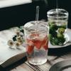 Tazza in Vetro con Coperchi e Cannucce Tumbler da Caffè Tazza per Bere Latte e Succhi Tazze in Vetro per Frullati per Casa Outdoor Viaggio