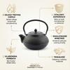 Cast Iron Kettle Black 1.5L Tea And Herb Infuser Enamel