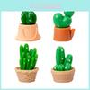 Decoração de casa – Terrários decorativos