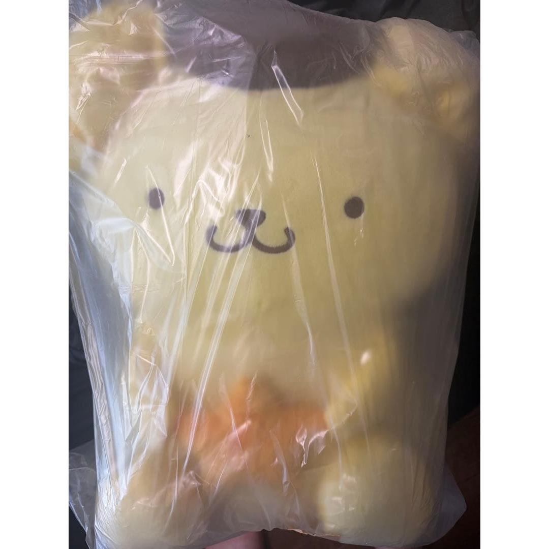 Sanrio Character Grand Prize Winning Lottery Pompompurin
