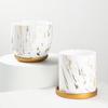 Marble Pattern Ceramic Flower Pot with Gold Tray - Nordic INS Style