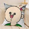 Anime Bangbang and Yuzhi Cushion Cover Silky Short Plush DoubleSided Printed Pillow Case for Sofa All Seasons Home Decor Gift