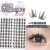 Aimo - Individual Cluster False Eyelashes (Various Designs)