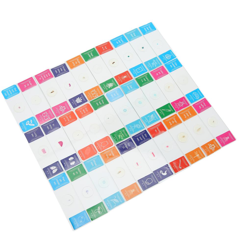 30Pcs Microscope Slides with Box Transparent Biology Prepared Slide Set for Laboratory