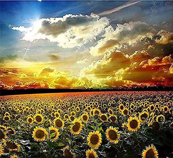 RUOPOTY Picture By Numbers Sunflower Flower Wall Art Unique Gift HandPainted Paint By Number Butterfly Decoration