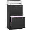 2 Drawer Filing Cabinet with Lock, Office Storage Cabinet with Adjustable Hanging Bars for A4 Letter Size Files, Black