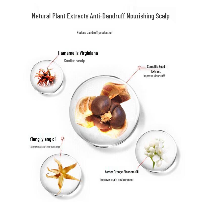 Zi Yuan Tea Seed Anti-Dandruff & Fragrance Shampoo