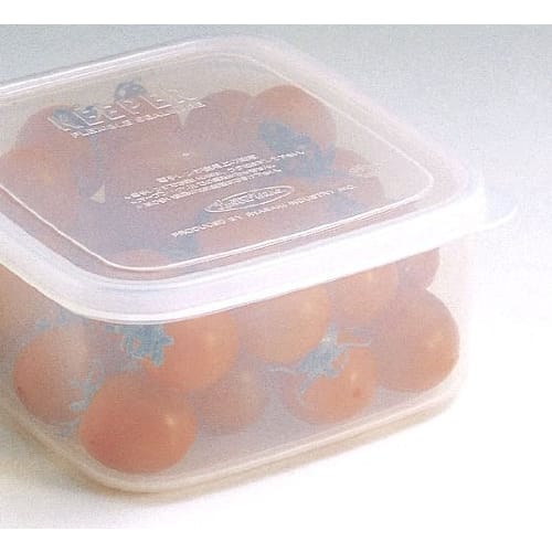 

Iwasaki Industries Neo Keeper Fresh Case, Square (S) with Colander, B-1836NE