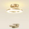 Modern Minimalist LED Ceiling Lamp Indoor Home Lighting Living Room Dining Room Corridor Balcony Bedroom Lighting Lamps