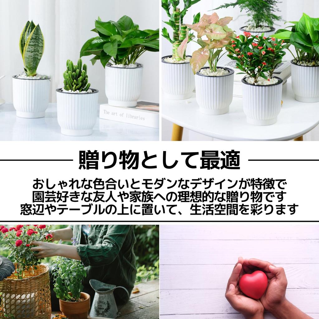 East Leaf Self-Watering Planter with Bottom Watering Tank, Ideal for Houseplants, Stylish, Medium, 11.5 X 12 Cm (Set of 6)