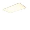 Oeny Modern Minimalist Ultra-Thin LED Ceiling Light