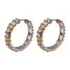Zircon Earrings New Popular Earrings Women'S Light Luxury Fashion Foreign Style High-End Celebrity Style Exquisite Earrings