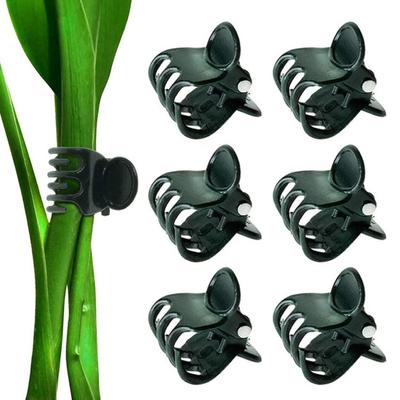 Herramientas de jardinería – Cintas y clips para atar plantas
