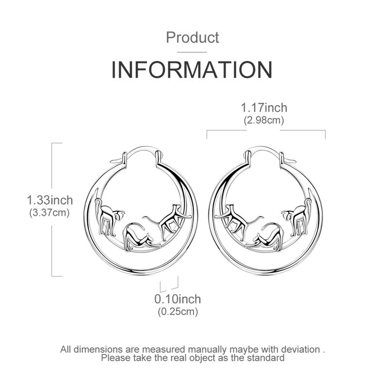 Original 925 Sterling Silver Circle Shaped Style Earring Women Hoop Earrings High Quality Shine Zircon for Women Jewelry Gift