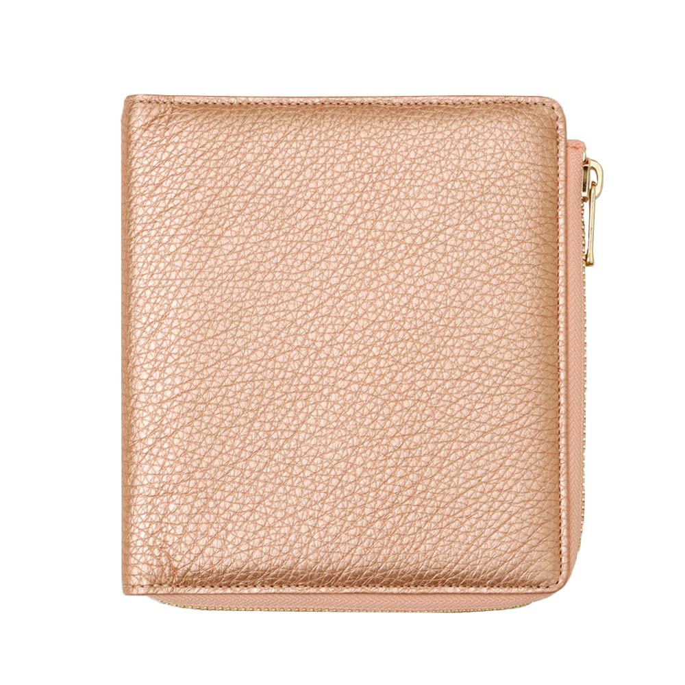 

QUOVADIS Genuine Leather System Organizer Cover [Mini 6 Size/Large Zip Cover] Timer14 Sparkling Pastel Metallic Pink (qv937lzsppk)