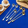 304 Stainless Steel Long Handle Seasoning & Sauce Spoon