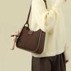 High end new spring commuting one-shoulder large capacity stylish bucket bag crossbody bag fashionable underarm bag
