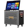 Malone Portable KTV Bluetooth Speaker with Display (CN Version)