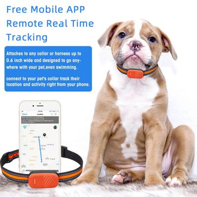 Indicateur lumineux positionnement précis recherche de piste étanche Anti-perte suivi des animaux de compagnie dispositif de collier intelligent pour animaux de compagnie