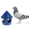 Mangiatoie per Piccioni Senza Sprechi Durevole Dispenser Automatico per Pollame Casa con Coperchio Contenitore per Pollame Sabbia