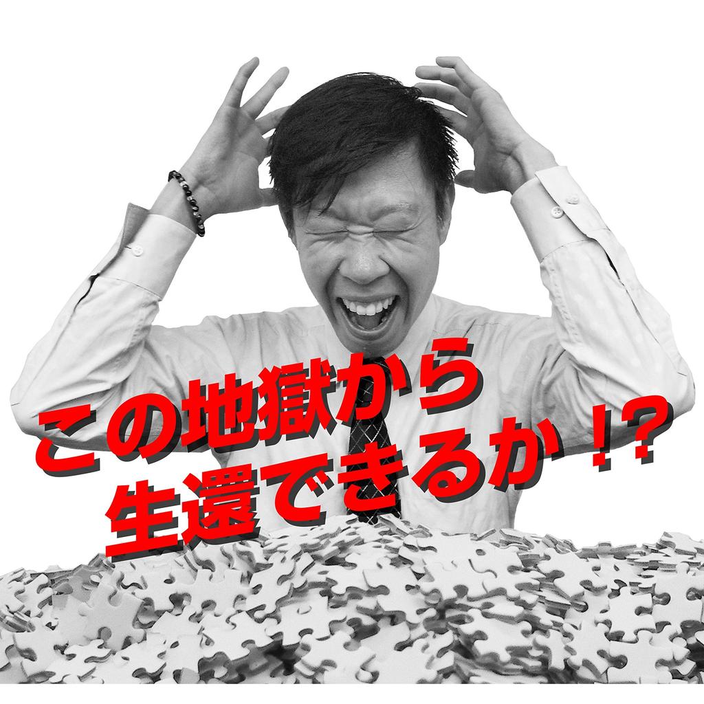 BEVERLY 1000-Piece Jigsaw Puzzle Made In Japan Pure White Hell Micro Pieces (26x38cm)