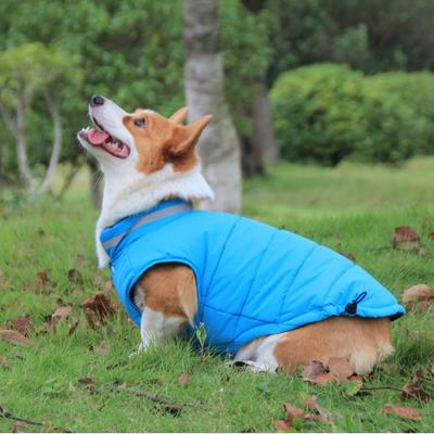 Pet It Dog Clothes Autumn and Winter Clothes Teddy Corgi Thickened Warm Cotton Clothes Golden Retriever Edge Herding Medium and Large Dogs Universal