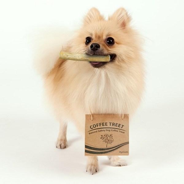 Coffee Treat Wood Stick Dog Toy, Mixed Colors, 2 Pieces