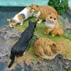 Exquisite Plastic Cat Model Figurine Short Hair And Persian Cat Home Display