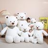 Cartoon big bear teddy bear doll plush toy hug bear doll girl soothing doll birthday gift