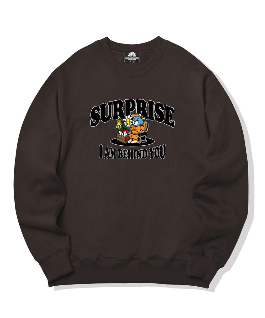 TRIPSHION Surprise Duo Graphic Crew Neck - Brown